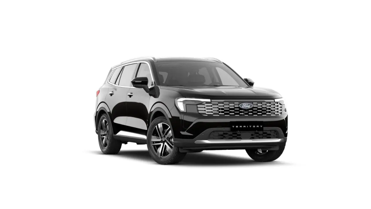 Nueva Territory Negro Pantera